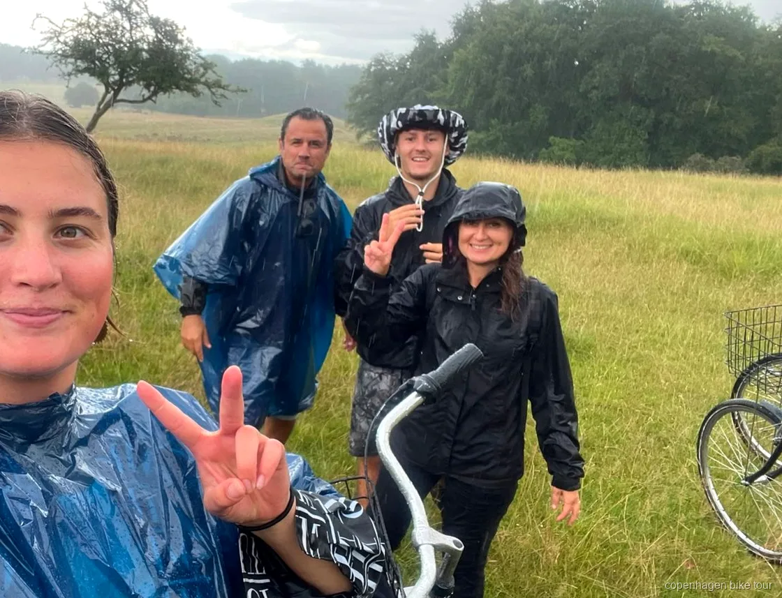Wildes Reh grast nahe einer Fahrradtour-Gruppe in Dyrehaven in Kopenhagen