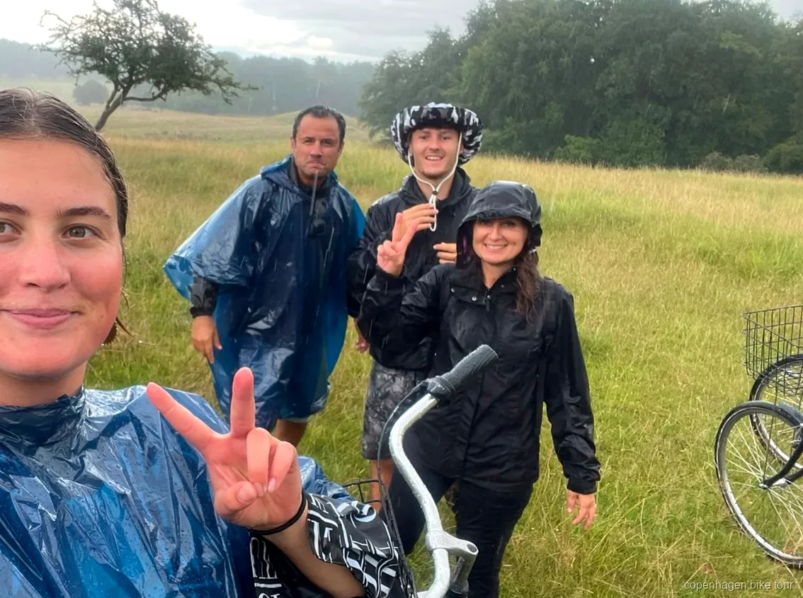 Wild hert graast bij een fietstourgroep in Dyrehaven nabij Kopenhagen